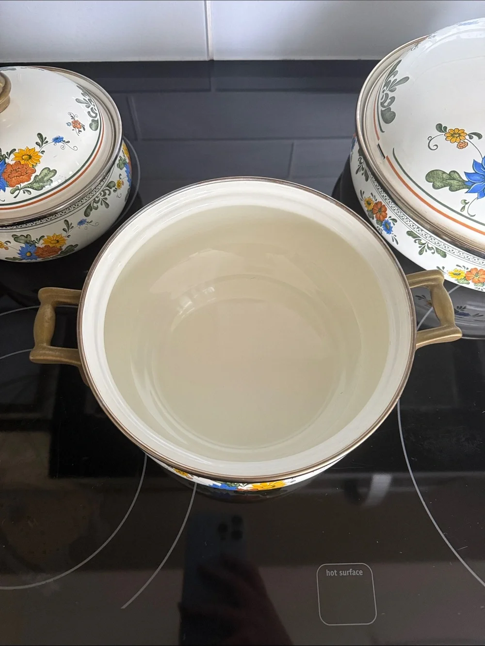 Vintage ASTA Fissler Style Enamelware Cookware Set Floral & Brass 3 Lidded Pots